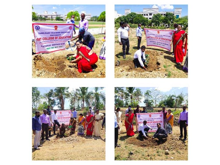 Tree Plantation